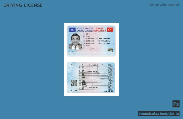 Beispiel für einen türkischen Führerschein